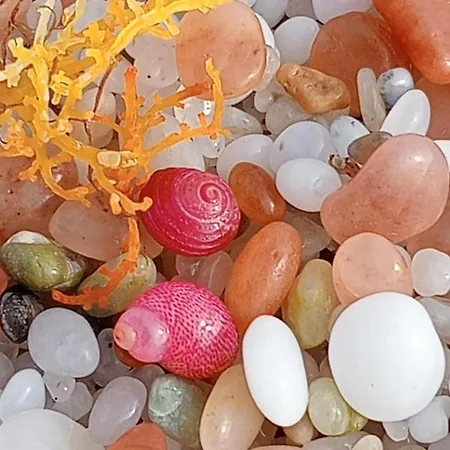 Domos Sa Murta 솔라나스