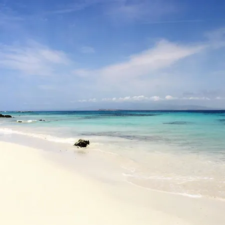 Domos Sa Murta Apartment *