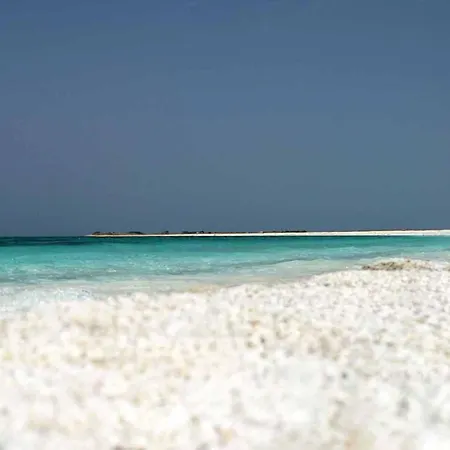 Domos Sa Murta 아파트